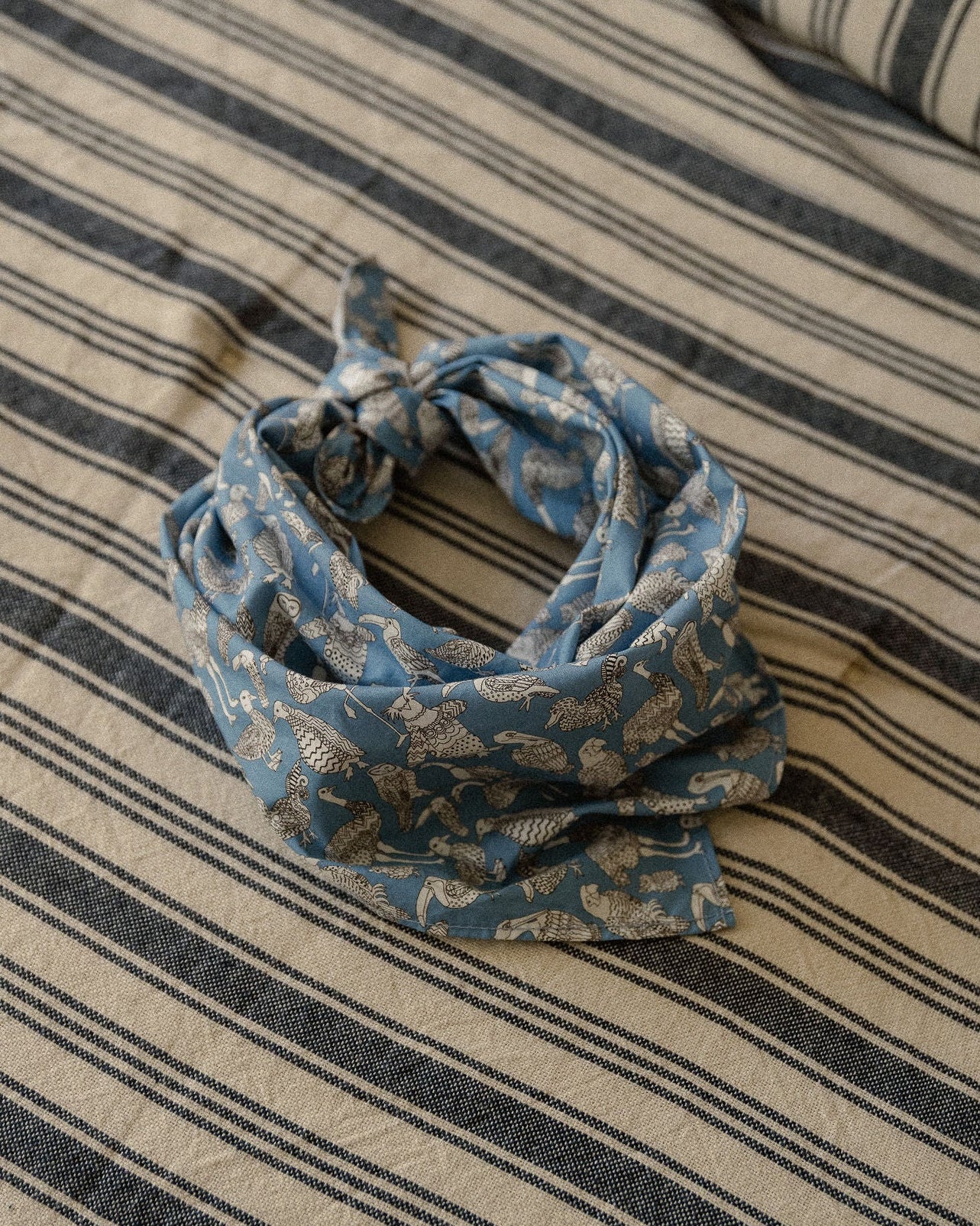 Pañuelito Liberty Beak